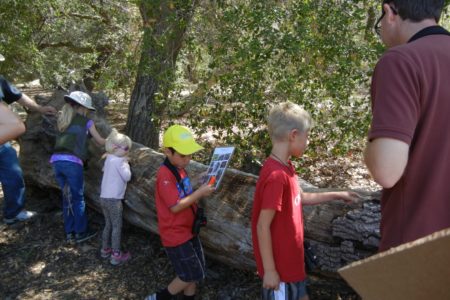The Cavity Conservation Initiative receives a special honor
