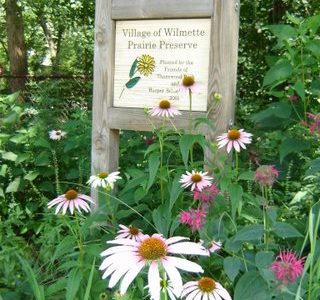 A village in Illinois forges a park from weeds and waste