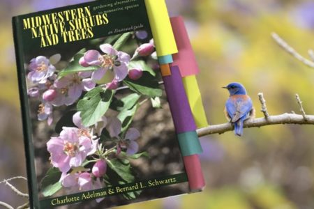 An inspiring and conscience-driven book for gardeners and nurseries