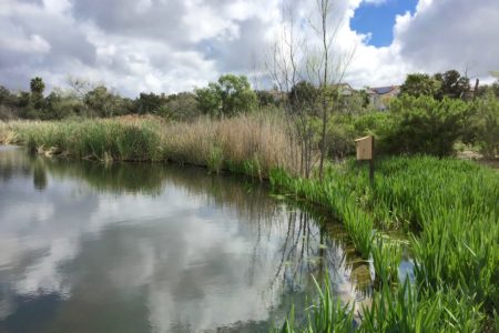 How one Southern California golf course gives back to wildlife